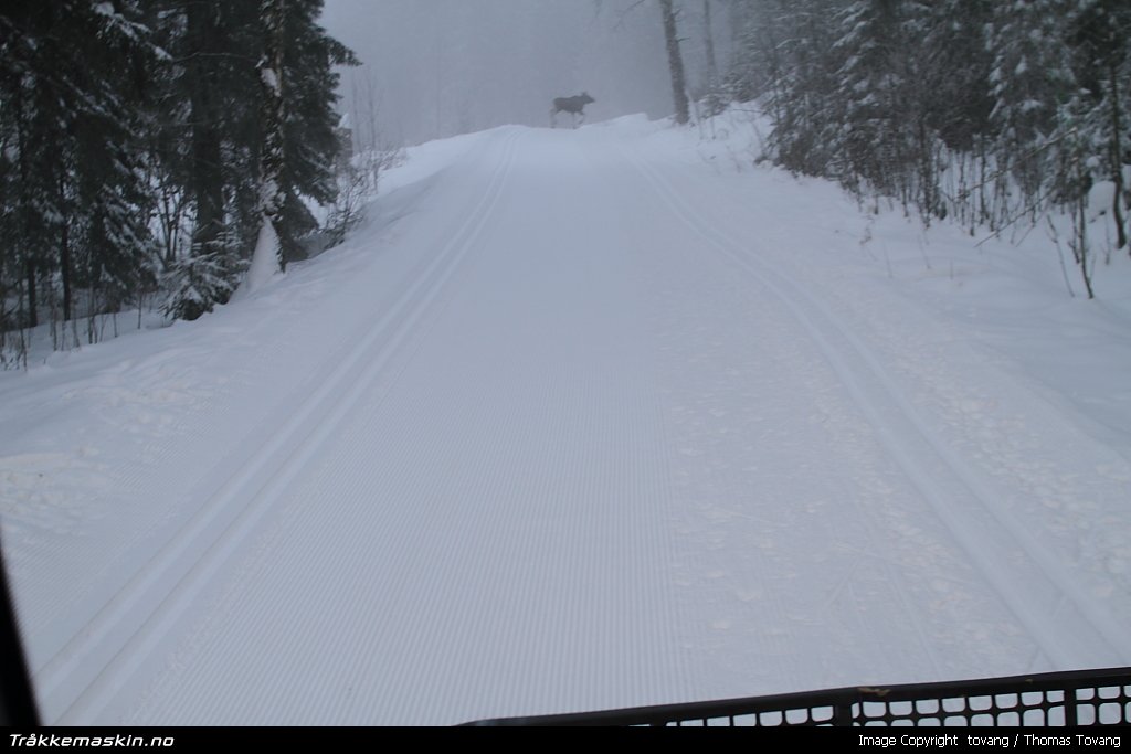 TRYKK FOR � LUKKE VINDUET