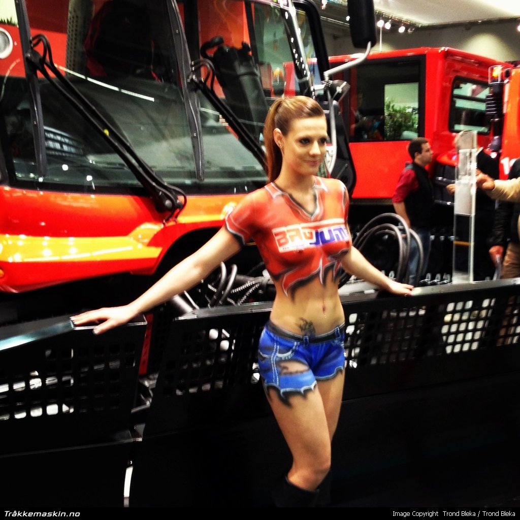 TRYKK FOR � LUKKE VINDUET