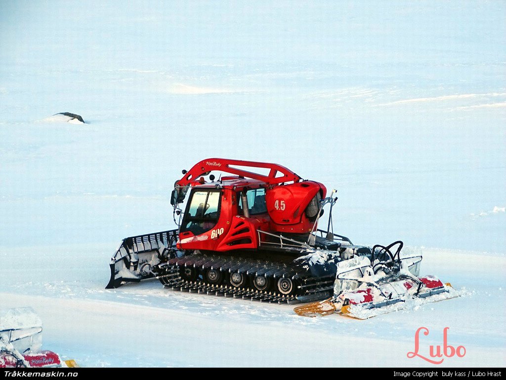 TRYKK FOR � LUKKE VINDUET